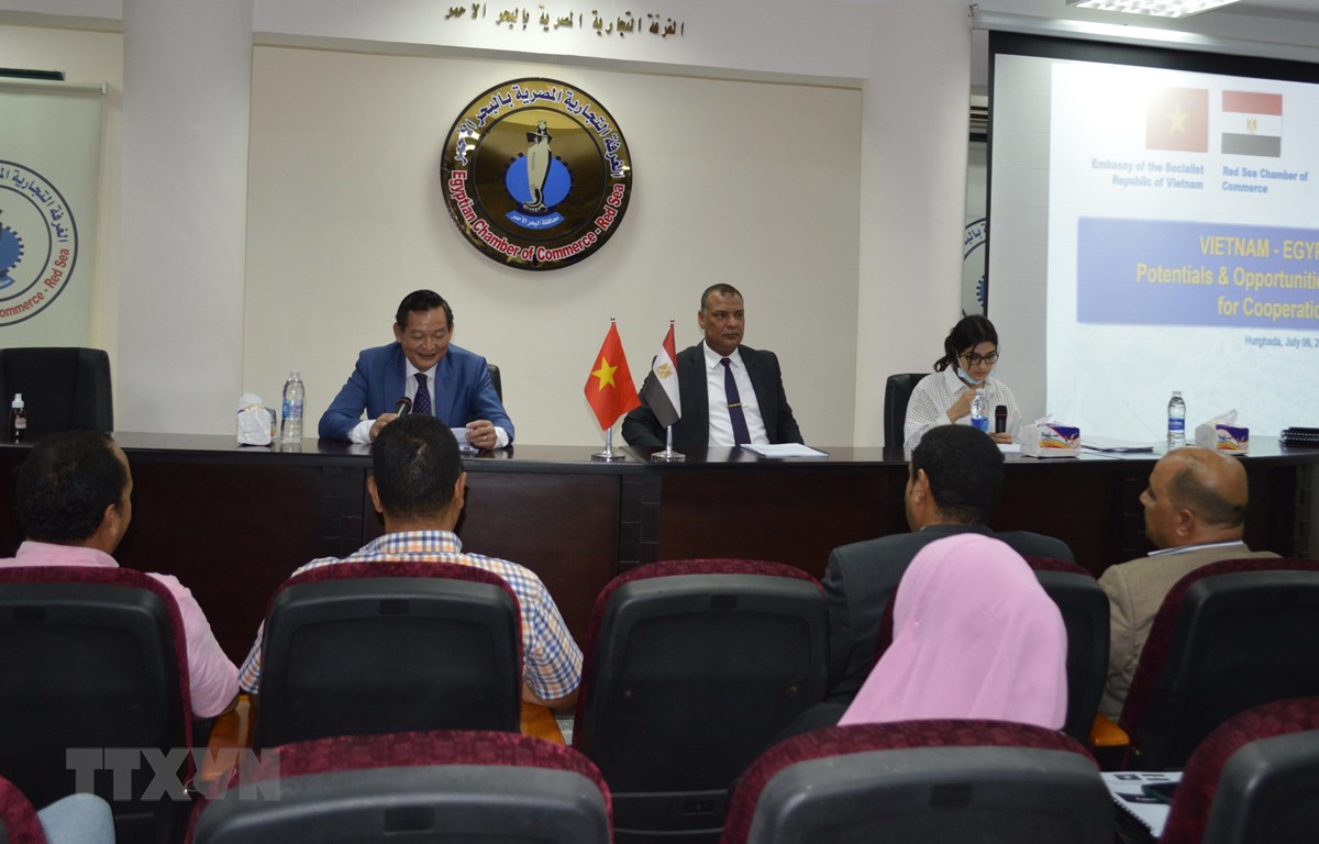 Vietnam and Egypt further promote trade, culture, tourism cooperation
